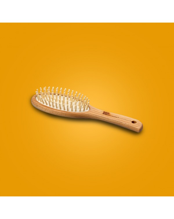 MINI BRUSH (out of stock)